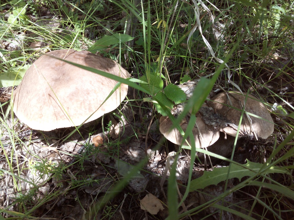 20150718120520