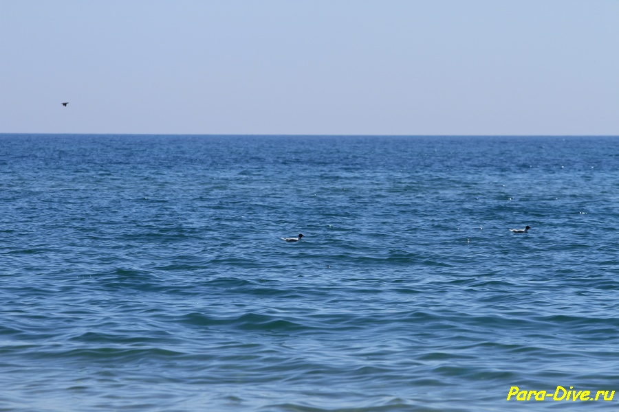 anapa 1 015