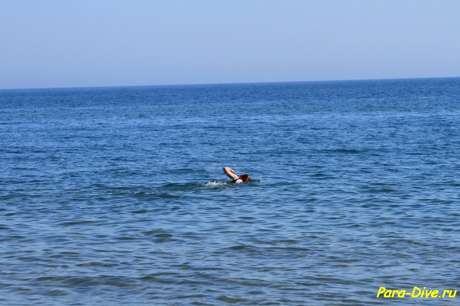 anapa 1 028