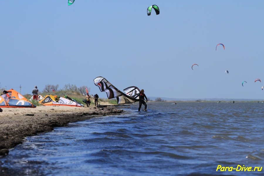 anapa 1 204