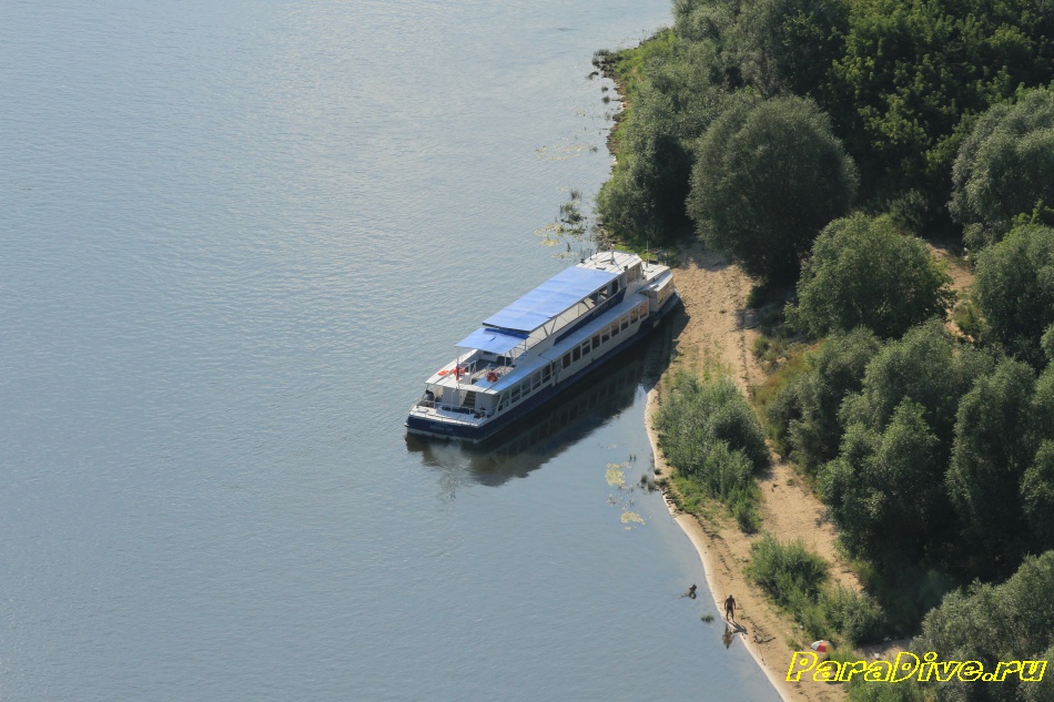 paralet 131
