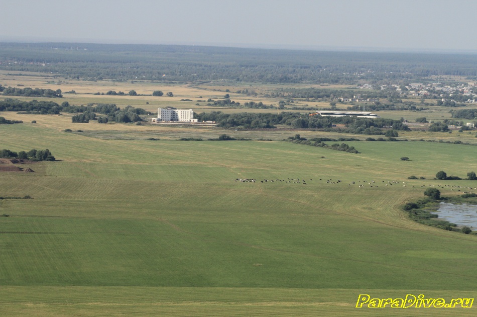 paralet 225