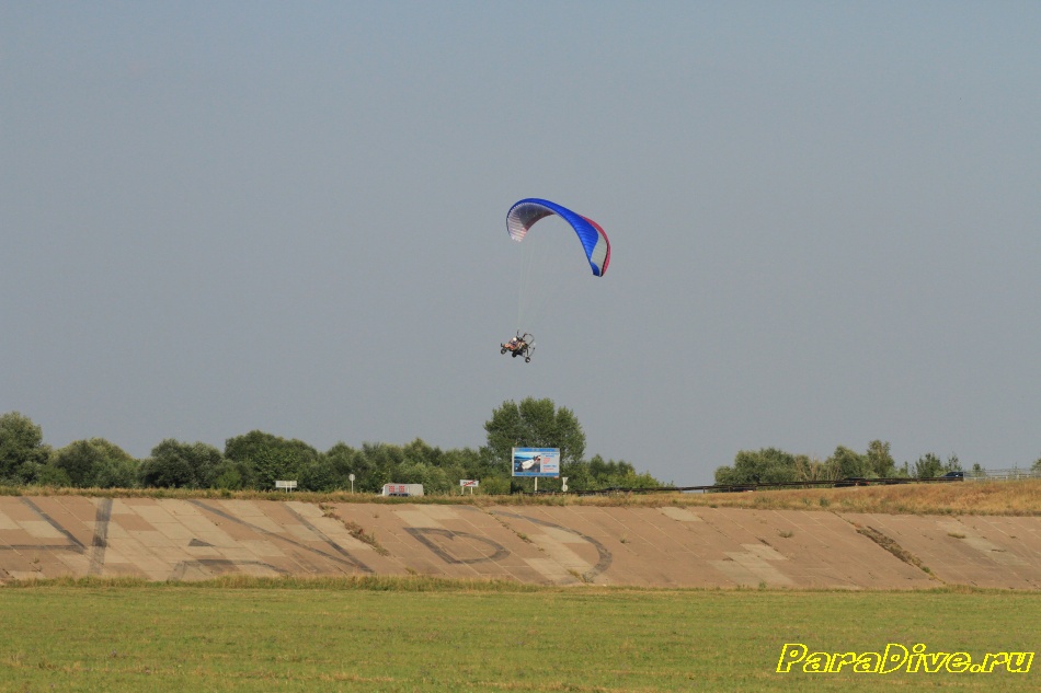 paralet 344