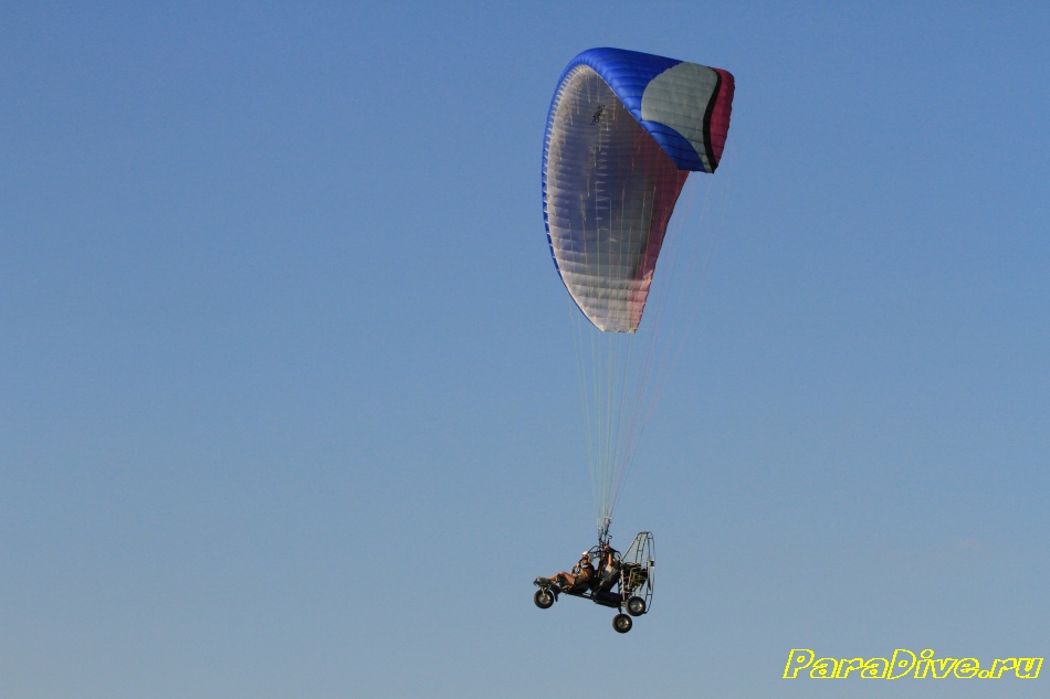 paralet 393