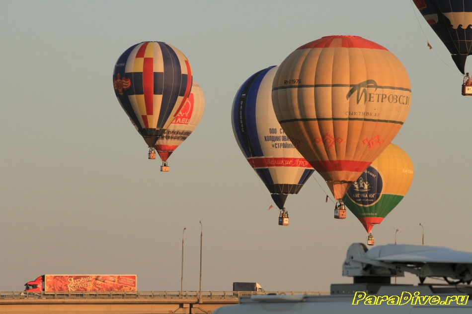 paralet 447