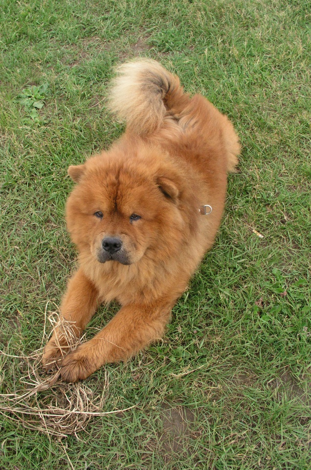 Косые взгляды