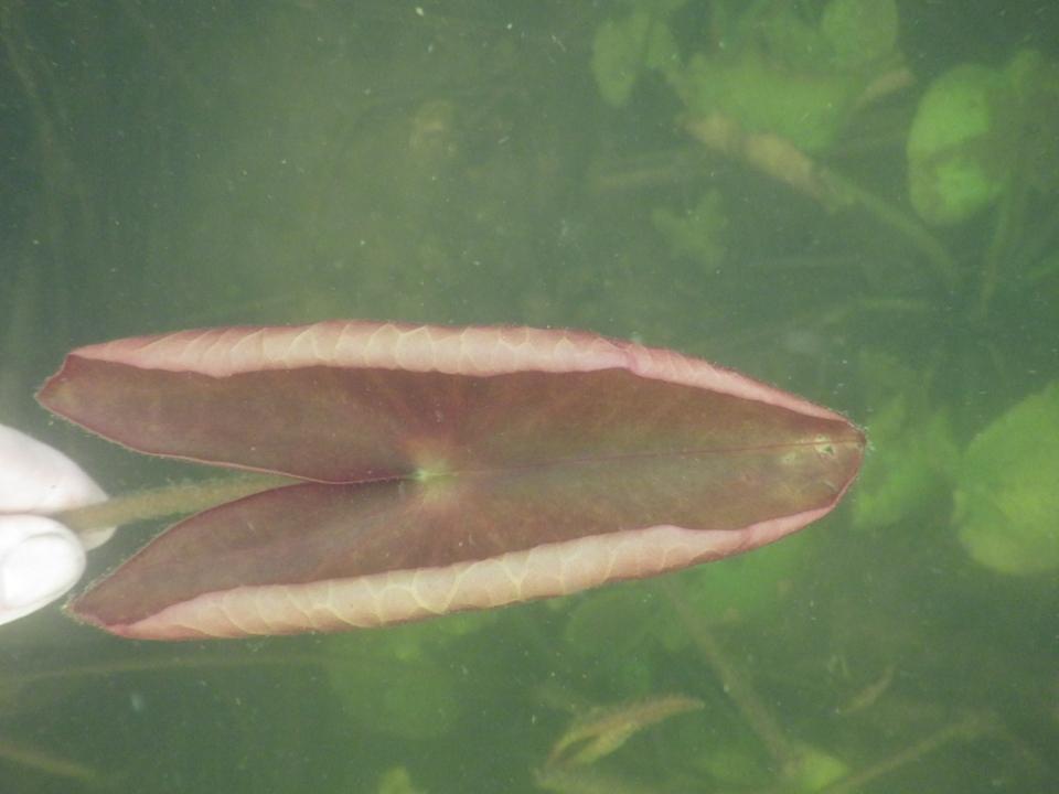 IMGP0352