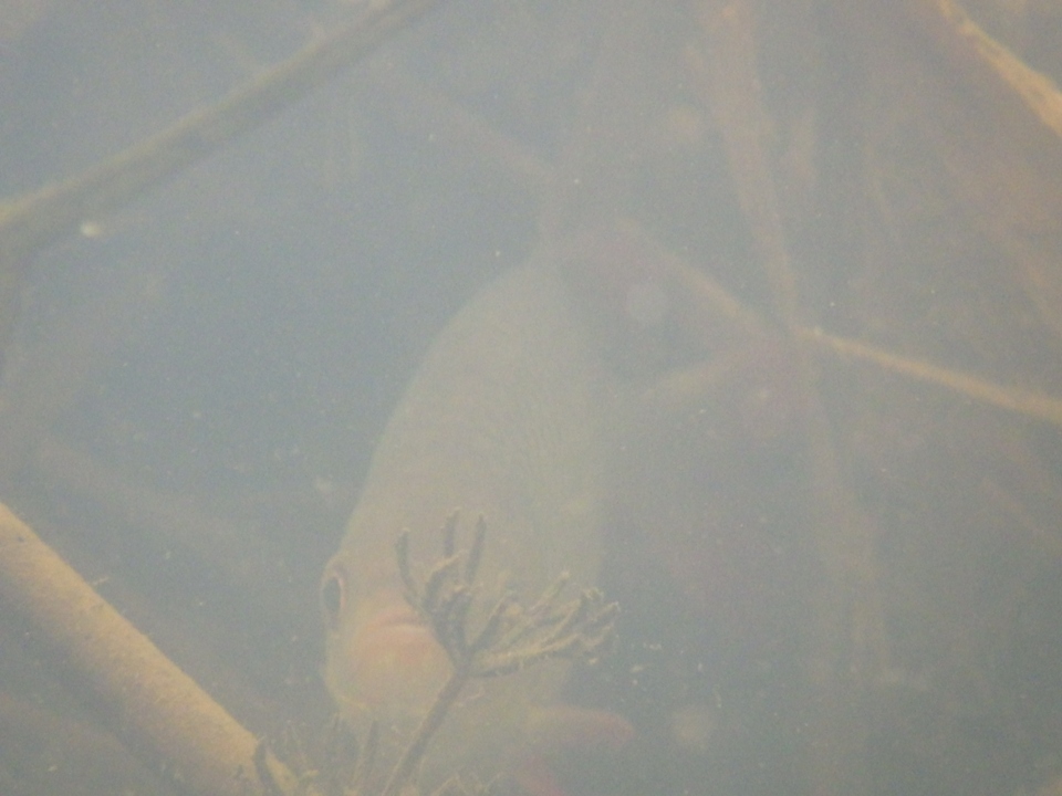 IMGP0403