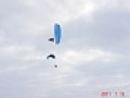 Полетали ..........(Михайлов 15.01.2011) Вести с полей.