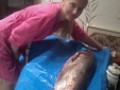 нырялки