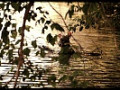 4 слет Рязанских Подвохов. 2 часть