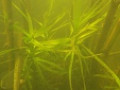 Под водой, из-под воды, и не только;)