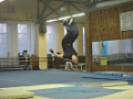 Батут 4