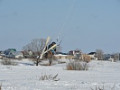 8 марта.