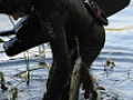 4 слет Рязанских Подвохов. 2 часть